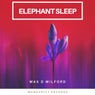 Elephant Sleep
