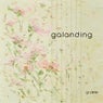 Galanding VA.8