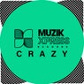 Ministry Of Funk - Crazy