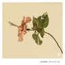 Blossom
