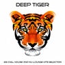Deep Tiger (65 Chill House and Nu-Lounge Hits Selection)