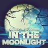 In the Moonlight