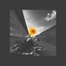 Sunflower (Extended Mix)