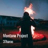 Montana Project