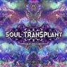 Soul Transplant