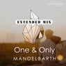 One & Only (Extended Mix)