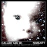 Calabi Yau U3