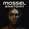 Anatomy