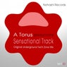 Sensational Track (Underground Tech Zone Mix)