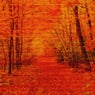 Ochre Windfall