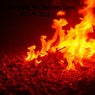 Everything You Own Burn Down