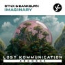 Imaginary