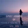 Spirit Sounds of Trance, Vol. 19 (Female Vocal Trance)