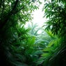 May Silent Pulse