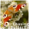 Chasing a Butterfly