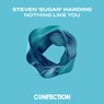 Nothing Like You (Extended Mix)