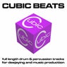 Cubic Beats Volume 10