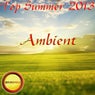 Ambient Top Summer 2013