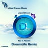 You in Heaven (DreamLife Remix)