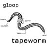 Tapeworm