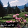Say Less Summer Sampler