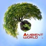 Ambient World 1.0