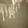 Cloudy Summer