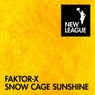 Snow Cage Sunshine