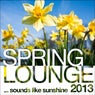 Spring Lounge 2013 (Sounds Like Sunshine)