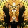 Feel It Break (Deluxe Version)