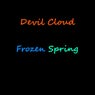 Frozen Spring