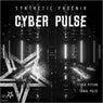 Cyber Pulse