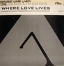 Dance Vault Mixes - Where Love Lives