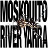 Moskquito
