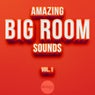 Amazing Big Room Sounds, Vol. 1