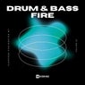 Drum & Bass Fire, Vol. 22