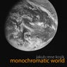 Monochromatic World