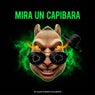 Mira Un Capibara