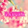 Sakura (Single Edit)