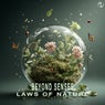 Laws of Nature