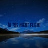 In The Night Flight