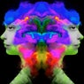 Hear Colour and Taste