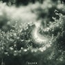 Silver, Vol. 12