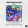PRM Unreleased Vol 2. - A Various Artist Compilation