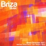 Briza Grooves Vol.1