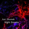 Night Dreams