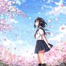 After Rain