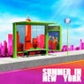Summer In New York / Larry Bird