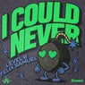 I Could Never (Extended Mix)