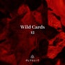 Wild Cards 12